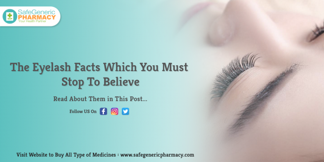 The Eyelash Facts Which You Must Stop To Believe