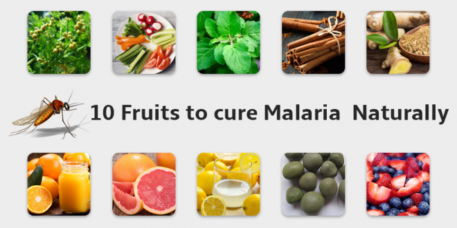 10 fruits to cure malaria