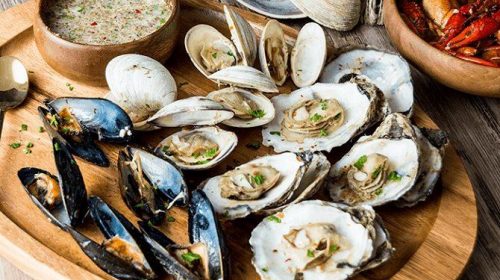 Oysters and Other Shellfish