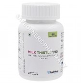 Milk Thistle 800mg Capsule 
