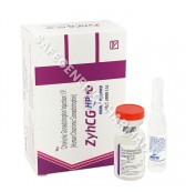 ZyhCG 2000 